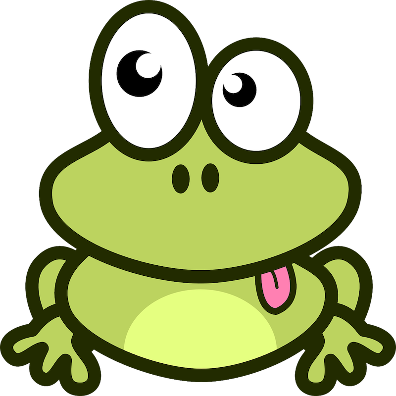 Frog Illustration