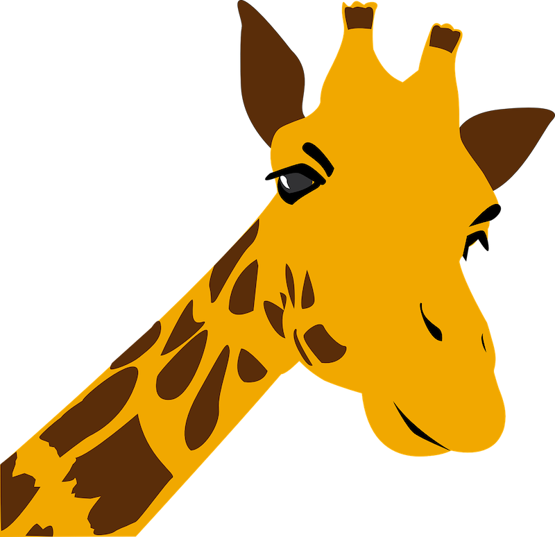 Giraffe Illustration
