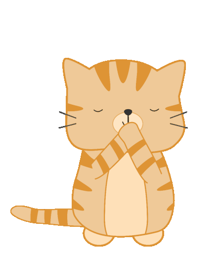 Cat animation
