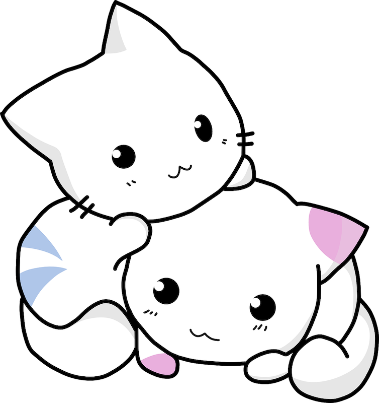 Cat Illustration