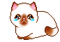 Cat animation
